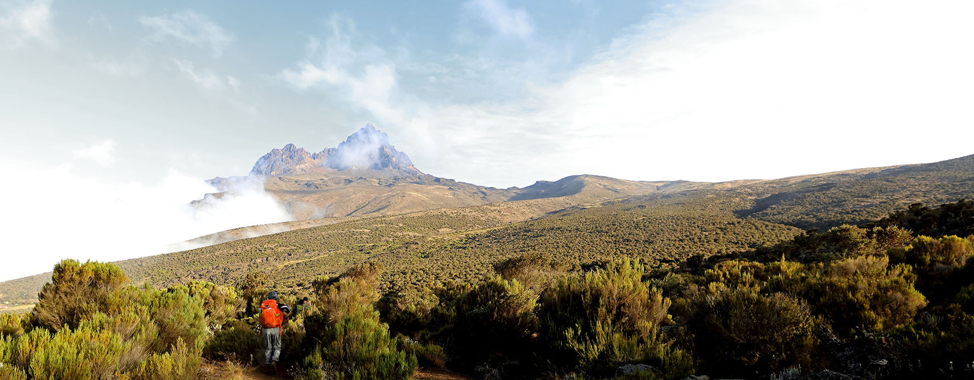 Shira Route - Kilimanjaro