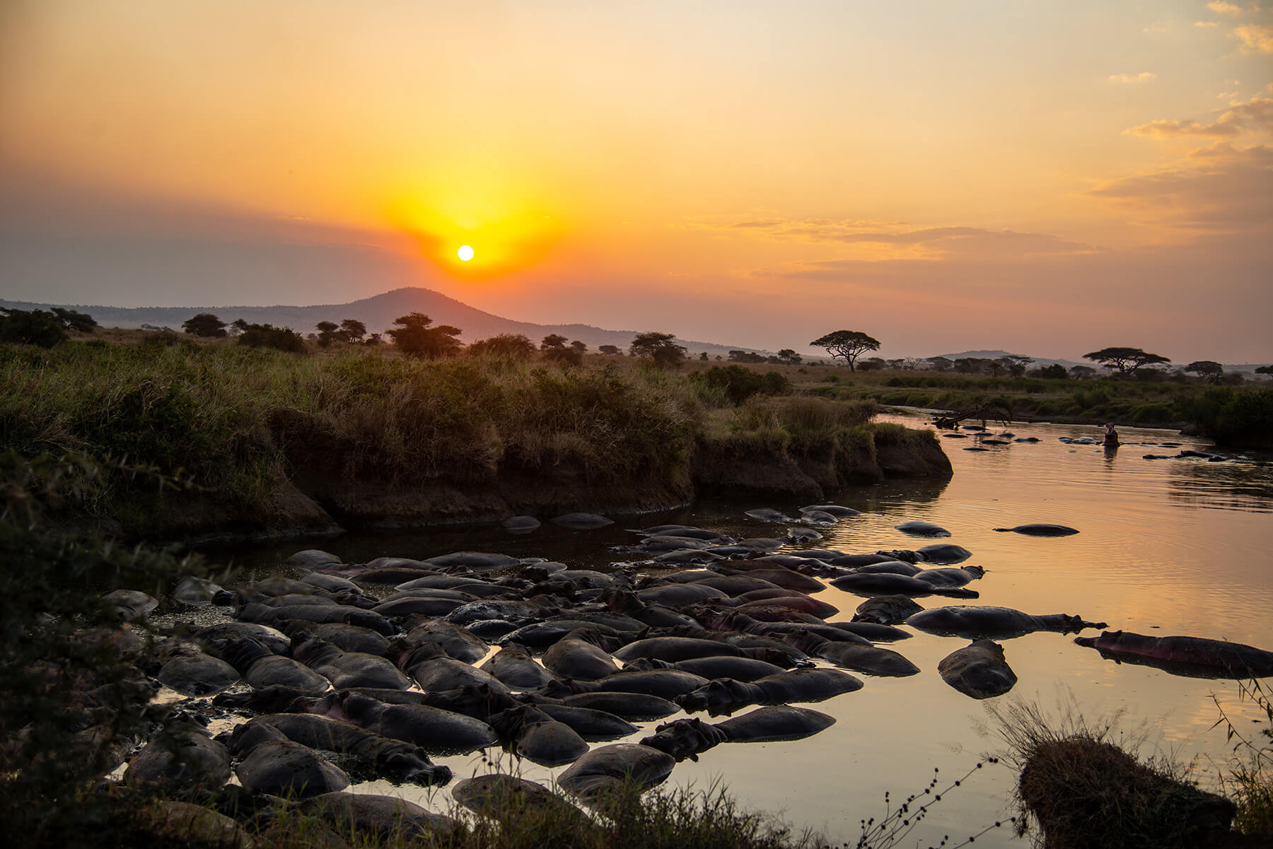 Witness Nature’s Spectacular Finale
